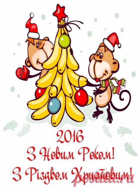 Новий рік 2016 рік Мавпи - привітання, картинки з Мавпами листівки з Новим Роком Мавпи - Привітання України! Українською мовою та російскою.