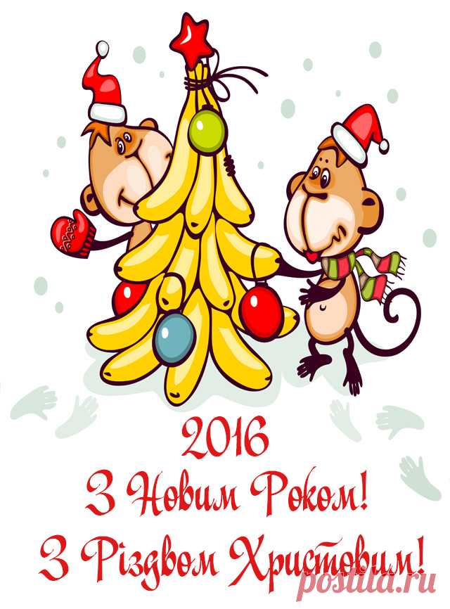Новий рік 2016 рік Мавпи - привітання, картинки з Мавпами листівки з Новим Роком Мавпи - Привітання України! Українською мовою та російскою.
