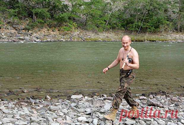 Жеребцы, оружие и лики святых