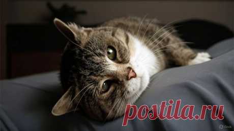 Уставший верить - OGADANIE.RU