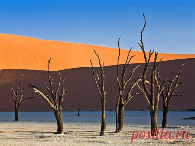 Природы красота - души волнение