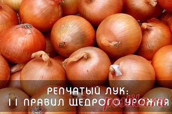 (51) Одноклассники