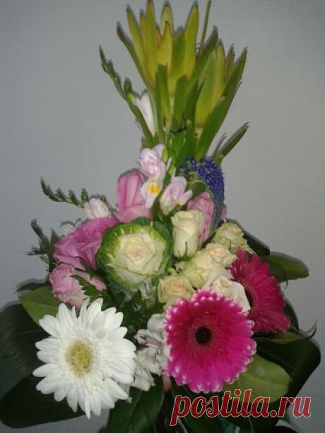 БУКЕТЫ ИЗ КОНФЕТ РЕКВИЗИТ ДЛЯ ФОТОСЕССИЙ
38 лет, Украина, Киев