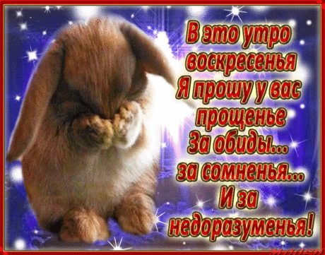 музыкальная открытка &quot;Прости меня!&quot; | В гостях у тамады!