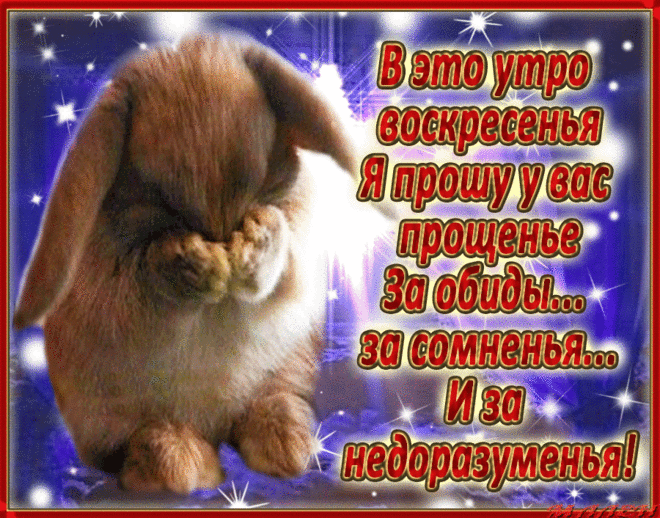 музыкальная открытка "Прости меня!" | В гостях у тамады!