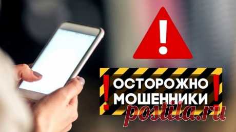 Адвокат Мария Огнева: остерегайтесь мошенников - BATUMI-TODAY.COM
