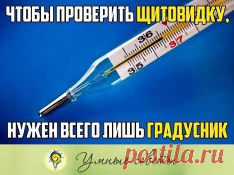 Чтобы проверить свою щитовидку, нужен только градусник 
Мало кто об этом знает, но еще 50 лет назад ученый Брода Отто Барнс обнаружил, что температура тела - отличный индикатор того, как работает ваша щитовидная железа. 
Есть только один нюанс: температуру тела нужно мерять сразу после пробуждения, еще в кровати. 
Барнс заметил, что ненормальная температура по утрам - первый признак воспалительного процесса в щитовидной железе. А сейчас все знают, что если этот орган нашего тела работает неправи