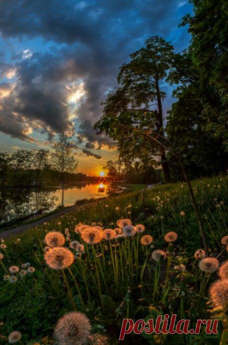 Мир вокруг нас.