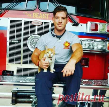 Бродячая кошка обрела дом на пожарной станции.