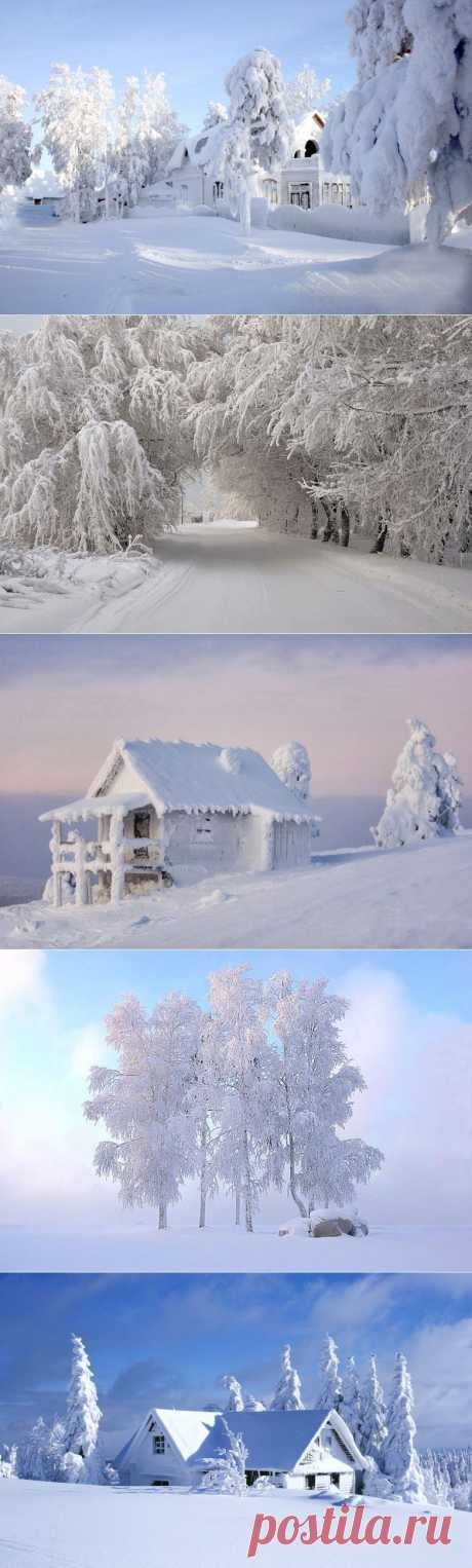Невероятная зима / Туристический спутник