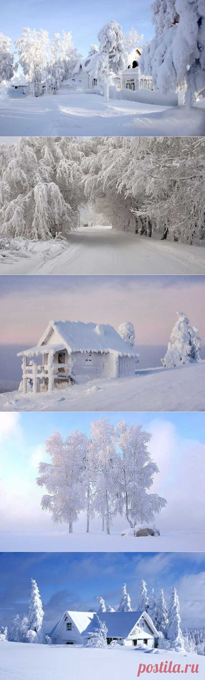 Невероятная зима / Туристический спутник