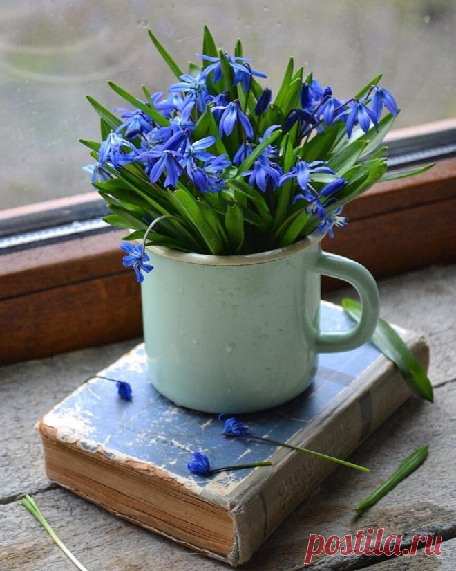 Пусть у каждого будет то...
                что  гораздо Дороже денег.....