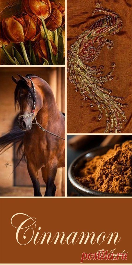 .- Цветотерапия при амблиопии (слабовидение, ленивый глаз)
- Цветотерапия при астенопии
- Цветотерапия при пресбиопии
- Цветотерапия при синдроме сухого глаза (сухой кератоконъюнктивит)
- Цветотерапия при патологии зрительного нерва и сетчатки
- Цветотерапия при кератитах