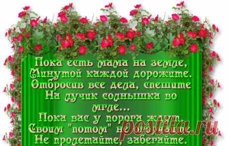 (54) Одноклассники