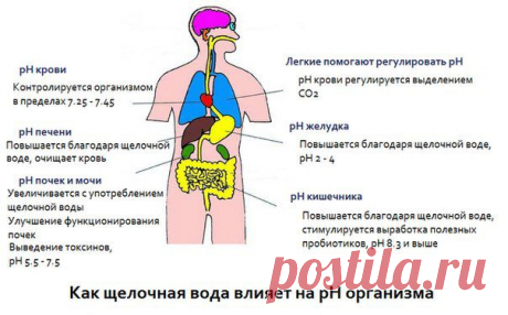 &quot;Коралловый Клуб&quot;