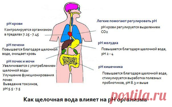 "Коралловый Клуб"