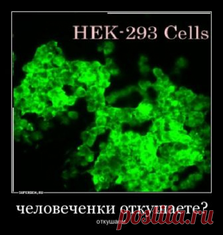 ЗАПРЕДЕЛЬНАЯ ЖЕСТЬ. Зачем НЕСТЛЕ И ПЕПСИ ИСПОЛЬЗУЮТ ПИЩЕВУЮ ЧЕЛОВЕЧИНУ? Не веришь? ЗАГУГЛИ НЕК293 - 29 Мая 2018 - Наша Планета