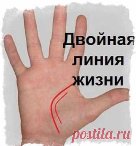 Линия жизни раздваивается на две ветви – особенности толкования