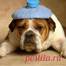 10 необъяснимых болезней современности: медицина бессильна?