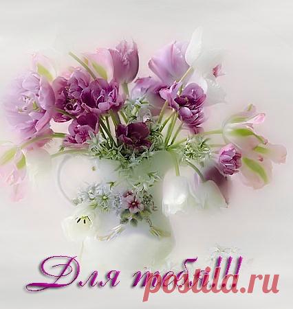 ЦВЕТЫ В PNG + КОД