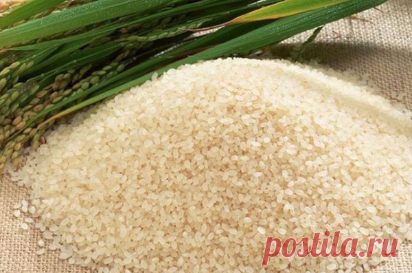 Как отличить настоящий рис от пластиковой подделки. | вкусный блог | Яндекс Дзен
