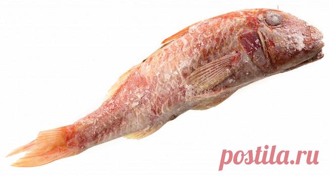 Русская рыба: Барабулька – «Афиша-Еда»