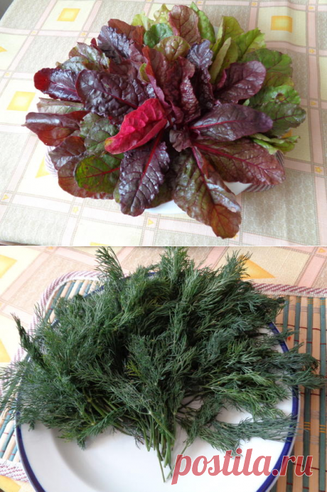 Замораживаю зелень на зиму