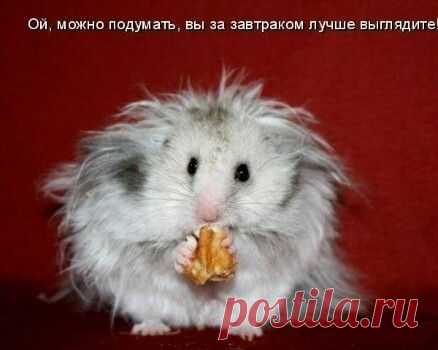 Мои рисунки - 9 фото. Фотографии Надежда Цицикашвили.