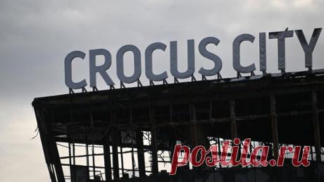 Школьницу, поблагодарившую террористов в &quot;Крокусе&quot;, лишили стипендии