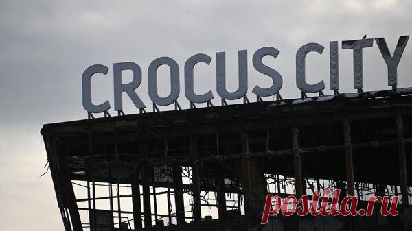 Школьницу, поблагодарившую террористов в "Крокусе", лишили стипендии