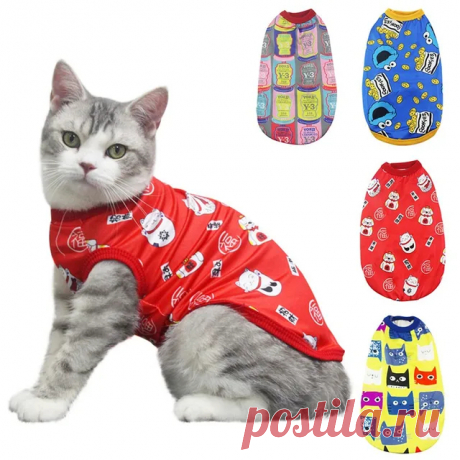 Kışlık Rüzgar Geçirmez Sphynx Kedi Ceket Giyim F95