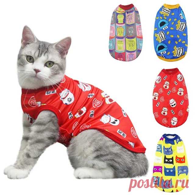 Kışlık Rüzgar Geçirmez Sphynx Kedi Ceket Giyim F95