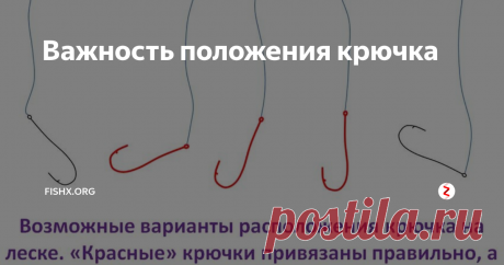 Важность положения крючка Правильно ли Вы привязываете крючки?