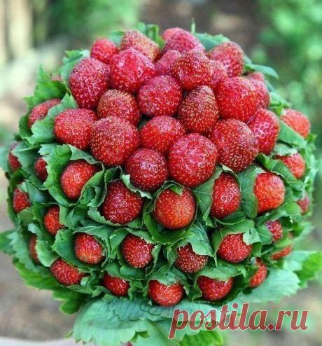 Летний букет 😍 / Райская пища