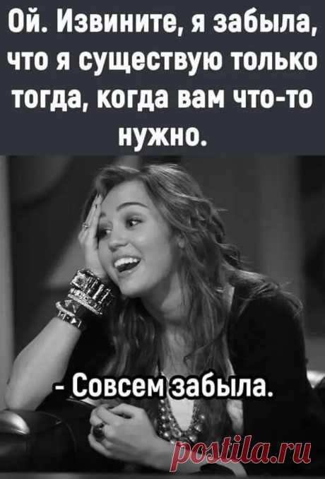 Самые лучшие улетные картинки - Смехотерапия - 25 марта - 43855898449 - Медиаплатформа МирТесен