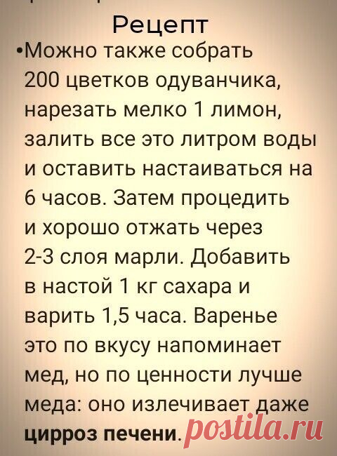 Анна Розенберг (Марьясова) - Заметки | OK.RU