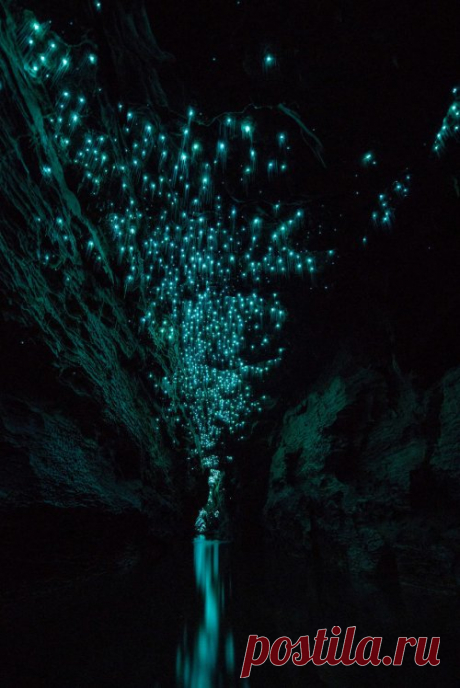 Пещера светлячков