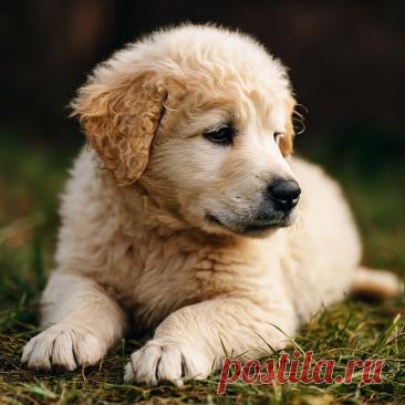 Спасибо, что ты есть - OGADANIE.RU