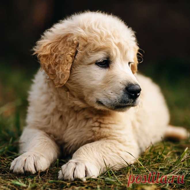 Спасибо, что ты есть - OGADANIE.RU