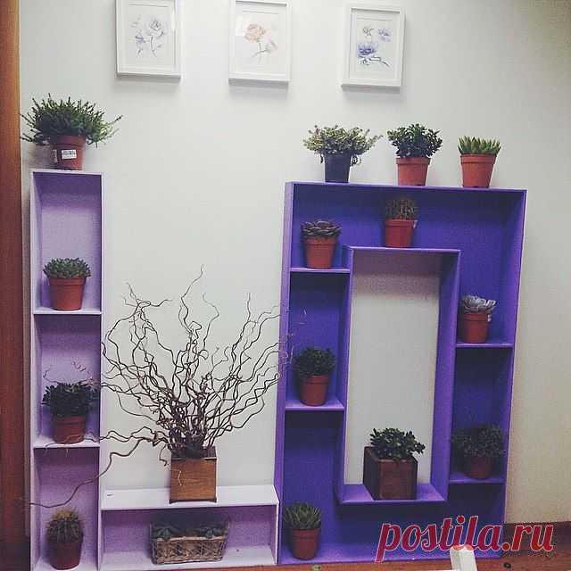 Instagram @spasibo_decor | 64 фотографии