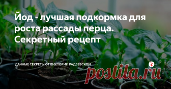 Йод - лучшая подкормка для роста рассады перца. Секретный рецепт В феврале начинается сезон посева перца на рассаду. Чтобы у рассады была хорошо развитая корневая система, а ствол был крепким и толстым необходимо подкармливать растения. Одним из лучших удобрений является йод. Расскажу подробнее о том, как и когда применять йод для рассады перца.