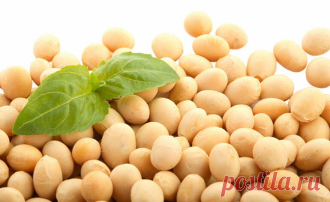 6 лучших продуктов для здоровых зубов
