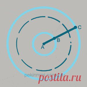 Выкройки одежды для собак, шьём сами | ВКонтакте