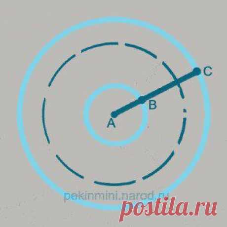 Выкройки одежды для собак, шьём сами | ВКонтакте