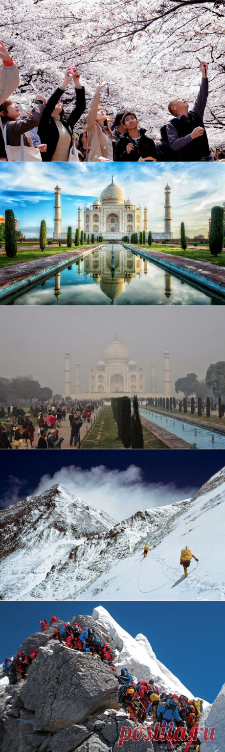 Мечта путешественника, или Ожидания против реальности