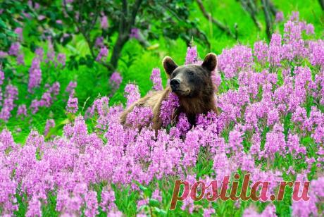 Ирина Белкина - Google+