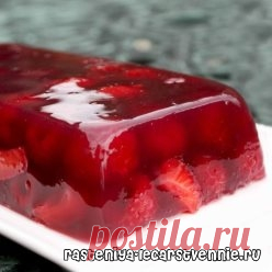 Фруктовое желе из желатина и фруктов. Как сделать в домашних условиях? » Популярно о здоровье