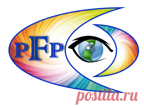 любимые ромашки