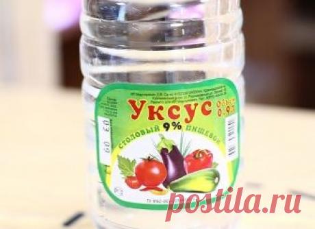 20 применений уксуса, о которых Вы не знали! 
 
Уксус, без сомнения, найдется на каждой кухне. А вот область его применения намного шире, чем кулинария. Уксус поможет вам: 
 
1 Избавиться от сорняков. Пролейте их, разведя уксус (40%) водой пополам. 
 
2 Удалить пятна пота с одежды. Перед стиркой на 10 мин. смочите пятно пота белым столовым уксусом, и оно сойдет очень легко. 
 
3 Вылечить ангину. Разведите в стакане теплой воды 1 ст. л. яблочного уксуса и прополощите горло....