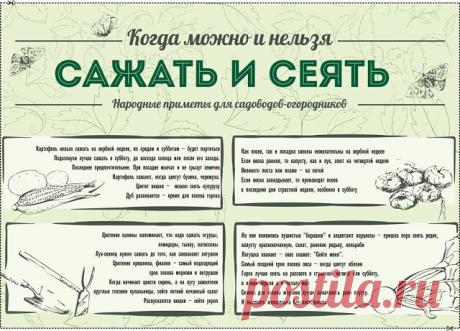 Народные приметы для садоводов-огородников!

 
- Картофель нельзя сажать на Вербной неделе, по средам и субботам - будет портиться.
 
- Если весна ранняя, то капусту, как и лук сеют на четвертой неделе Великого поста или позже - на пятой.
 
- Если весна запаздывает, то производят посев в последние дни Страстной недели, особенно в субботу.
 
- Подсолнухи лучше сажать в субботу, до восхода солнца или после его захода. Последнее предпочтительнее. При посадке молчат и не грызу...
